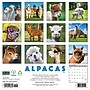 2027 Willow Creek Alpacas 12" x 12" Monthly Wall Calendar, Assorted Colors (58695)~#|#~C282618F-157A-41F4-8D1CF150CDD824DE_sc7