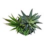Monarch Specialties Inc. 7" Artificial Succulent Plant in Pot, 2/Set (I 9554)~#|#~C2EBC3B9-B3C5-4AC7-AEC021D84E9D636A_sc7