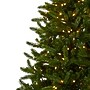 Nearly Natural 5376 Rembrandt Christmas Tree with Stand~#|#~C34456D6-7590-446F-A98512275AA82A71_sc7