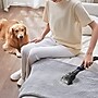 Eureka Canister Vacuum, Bagless (NEN180)~#|#~C38F6C93-2B3F-4417-976D5AD9E0FE5218_sc7