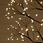 Nearly Natural Pre-Lit Artificial Halloween Black Starburst Tree, 6' (T5410)~#|#~C3E732B5-09F1-417C-84A95EE811A8D760_sc7