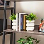 Mind Reader Concrete Book Ends, 5", White, 2/Set (OVBPLANT-WHT)~#|#~C42972B6-4C95-4ABB-BA70B668EBAF4CE3_sc7