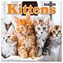 2027 TF Publishing Kittens 12" x 12" Monthly Wall Calendar (27-1013)~#|#~C46BC9E5-1EA8-4822-84EE90B32261F3C2_sc7