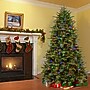National Tree Company 7.5' Pre-Lit Princeton Fraser Fir Artificial Christmas Tree (PEPO2-D08-75)~#|#~C519A639-9D18-48F6-B4C4785616F39507_sc7