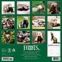 2027 Willow Creek Ferrets  12" x 12" Monthly Wall Calendar (60230)~#|#~C5409B90-DDAF-4A03-9FF6B734FAC1FE5F_sc7