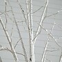 Nearly Natural 8-ft Pre-Lit Artificial White Birch Tree with 500 Warm White LED Lights (T4912)~#|#~C5E904EA-A980-4C92-9899F9FF1AE4A056_sc7