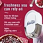 Febreze Plug In Scented Oil Refill, Assorted Holiday Scents, 0.87 oz., 3/Pack (48198)~#|#~C6D5741D-9059-42A5-A3EC6A423935325A_sc7