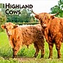 2026 BrownTrout Highland Cows 7" x 7" Monthly Wall Calendar (9798330703623)~#|#~C73C026D-6F0C-4830-9842CBB29F952C18_sc7