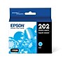 Epson T202 Cyan Standard Yield Ink Cartridge (T202220-S)~#|#~C793B900-1D72-44FB-B63C528DEBC5812B_sc7