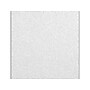Armstrong ULTIMA Health Zone Lay-In Square Edge Ceiling Tile, 24" x 24", White, 12/Carton (BP1935A)~#|#~C79FE532-7CC8-40E0-81357A77D51BB72C_sc7
