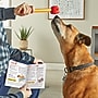 Learning Resources Brightkins Pooch School Training Set (LER9363)~#|#~C7B1BBBF-83DB-4D19-9F8060360F07C464_sc7