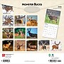2026 BrownTrout Monster Bucks 12" x 12" Monthly Wall Calendar (9798330704682)~#|#~C833DD55-C68B-4652-A69B2D01C4DE315D_sc7