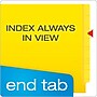Pendaflex Recycled End Tab File Folder, Straight Cut, Letter Size, Yellow, 100/Box (H110DY)~#|#~C8A711C8-0F4C-4EF9-A0A78CDAC6E0405D_sc7