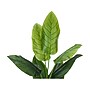 Monarch Specialties Inc. Strelitzia in a Pot (I 9545)~#|#~C8F01EB8-593F-4164-8C0F252147A04BE5_sc7