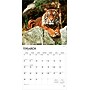 2026 BrownTrout Tigers 12" x 12" Monthly Wall Calendar (9798330705900)~#|#~C95885B8-1D35-4B42-8D401B1FFC980E2C_sc7