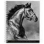 2025 BrownTrout Portrait Series: The Noble Horse 6" x 7.75" Weekly Engagement Planner, Paper Cover, Multicolored (9781975473228)~#|#~C98BD862-DF28-4B52-816185AAAD074304_sc7