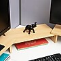 Mind Reader Lucky Wealth Elephant Figurine, Black (ELEPHANT-BLK)~#|#~C9B1AE21-EEB2-4C5F-9CC4B463D1E2C547_sc7