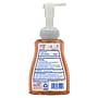 Dial Professional Antibacterial Defense with Aloe Foaming Hand Soap, Original Scent, 10 Fl. Oz., 8/Carton (1700035446)~#|#~CA335649-1379-4E10-AE614E21018DF180_sc7
