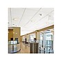 Armstrong FINE FISSURED Second Look II, Angled Tegular Edge Ceiling Tile 15/16, 24" x 48", White, 10/Carton (BP1760C)~#|#~CA33E9BD-F29F-4EAD-B9906394057AF12A_sc7
