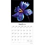 2026 Brush Dance In the Garden 12" x 12" Monthly Wall Calendar (9798330706525)~#|#~CAA172BD-7BE2-4B83-BFA4680167AD6038_sc7
