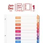 Staples Customizable Table of Contents Monthly Dividers, 12‑Tabs, Multicolor~#|#~CAF5BC92-F1E6-4A78-81C1B728D68A7306_sc7