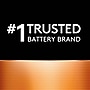 Duracell Coppertop C Alkaline Batteries, 12/Pack (MN1400)~#|#~CB19251A-6294-4DEA-86BB009DF96C6FAF_sc7