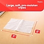 Staples Screen Cleaning Wipes – 100 per Tub, Safe for Monitors, Laptops & Electronics, 2‑Pack~#|#~CB29A4C5-FBFA-4676-9534A9347CC23A18_sc7
