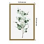 Amanti Art Tender Sprout I (Eucalyptus) by Eva Watts Framed Canvas Wall Art Print, 16" x 23" (A42675040760)~#|#~CB366785-2C33-41A4-8F8C5032DC036B30_sc7