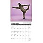 2027 Willow Creek Sloth Yoga 7" x 7" Monthly Wall Calendar, Assorted Colors (64214)~#|#~CB60239F-E909-49A5-A755509012D12794_sc7