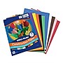 Tru-Ray 9" x 12" Construction Paper, Assorted, 50 Sheets/Pack, 5 Packs/Bundle (PAC103031-5)~#|#~CB9E4269-AD02-4900-96F470EBD53A9B90_sc7
