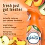 Febreze Air Mist Air Freshener Spray, Juicy Summer Peaches Scent, 8.1 oz., 2/Pack (11573)~#|#~CC33EE3F-CDBB-4529-B7FC7417FB47BF8A_sc7