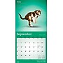 2026 Plato Yoga Kittens 12" x 12" Monthly Wall Calendar (9798330701964)~#|#~CC6062EC-1AFD-4718-88A5D1E679544B1B_sc7