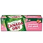 Canada Dry Fruit Splash Strawberry Ginger Ale, Caffeine Free, 12 oz., 24 Cans/Carton (DRP39464)~#|#~CC900F89-EDF1-4B32-B2CAC8848D65207F_sc7
