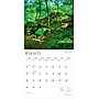 2026 BrownTrout Iowa Wild & Scenic 12" x 12" Monthly Wall Calendar (9798330703920)~#|#~CD188340-7D0C-4C31-8EB283281B5B31A8_sc7