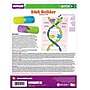 Roylco DNA Builder, 9/Set (R-59252)~#|#~CD45200B-0D6A-45BA-9B829958C62FABC9_sc7