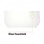 3M WP98 Reusable Face Shield Headgear, Fog Resistant, Clear, 10/Carton (247-82543-00000)~#|#~CD6A9085-06A3-4B2A-B78B8E8BCA76183C_sc7