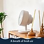 Windmill Oscillating Desk Fan, 5-Speed, Marine (WMFC07W2)~#|#~CD9F8CF8-F202-4DC0-A80E6772AA13F470_sc7
