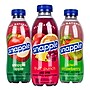 Snapple Juice Drink Variety Pack, 20 oz., 24/Pack (220-00813)~#|#~CDC00713-DDAD-4F7F-B9B8DAC2AEABA425_sc7