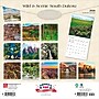 2026 BrownTrout South Dakota Wild & Scenic 12" x 12" Monthly Wall Calendar (9798330705665)~#|#~CE87FA16-6680-4165-B0A83E0E2F1E95C0_sc7