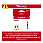 Canon 42 Yellow Standard Yield Ink Cartridge   (6387B002)~#|#~CEAF4B90-B5C3-4E61-8E1D9CE848008A44_sc7