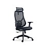 Raynor Group Torque Ergonomic Fabric/Mesh Swivel Manager Chair, Black (TORQUE-BF-BLK)~#|#~CED6524F-8AE8-45AB-8FE33EAF76F36E20_sc7