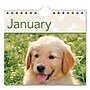 2026 AT-A-GLANCE Puppies 15.5" x 22.75" Monthly Wall Calendar (AAGDMW16728)~#|#~CF3E289C-12B4-4AF2-B5AFE7B25CC75266_sc7