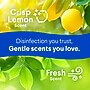 Clorox Disinfecting Wipes, Fresh/Crisp Lemon Scent, 75 Wipes/Container, 3/Pack (30208)~#|#~CF3ED0C5-9DBF-4178-B7BD15EEF4071281_sc7