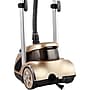 Salav Professional Dual Bar Garment Steamer (GS49-DJ GOLD)~#|#~CFC76894-02A3-45BC-8F5D8CD82591E153_sc7
