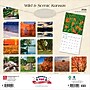 2026 BrownTrout Kansas Wild & Scenic 12" x 12" Monthly Wall Calendar (9798330704026)~#|#~CFF6B8CA-56CC-4342-8961DFDA35A71F5D_sc7