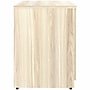 Lorell Essentials Series 29.5" Storage Cabinet With 2‑Doors, Modern Elm (LLR66333)~#|#~D04F9144-FA1F-4AF5-883121C6CD227C98_sc7