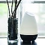 HealthSmart Evaporative Cool Mist Tabletop Humidifier, 500mL, White (40-500-190)~#|#~D0A0F6FD-57EF-4DE5-B693B5CF2EF12FEC_sc7