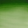 Winsor & Newton Watercolor Paint Tube, Hooker's Green Light (WNX0308314)~#|#~D0E4454B-4299-4C5B-B9C7A3802C4B056C_sc7