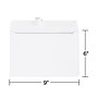 Staples EasyClose Booklet Envelopes, 6" x 9", White, 250/Box (SPL570225)~#|#~D1306923-1F44-4CD3-B9F93BB4438800A3_sc7