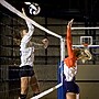 Champion Sports Tournament Volleyball Net, White/Black (VN600)~#|#~D1825972-9EF5-4ED4-BB20B5236FC1D821_sc7